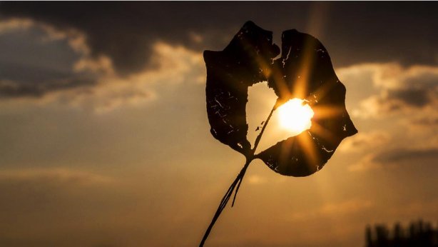 Att ta lärdomar - Maulana Wahiduddin Khan